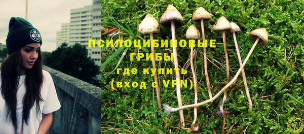эйфоретик Балахна