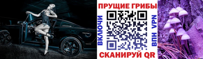 Псилоцибиновые грибы мухоморы  Юрьев-Польский 